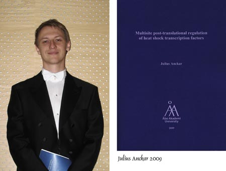 Julius Anckar-tavla