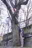 09-Acklas_wapp_00-1