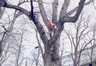 11-Acklas_wapp_00-3